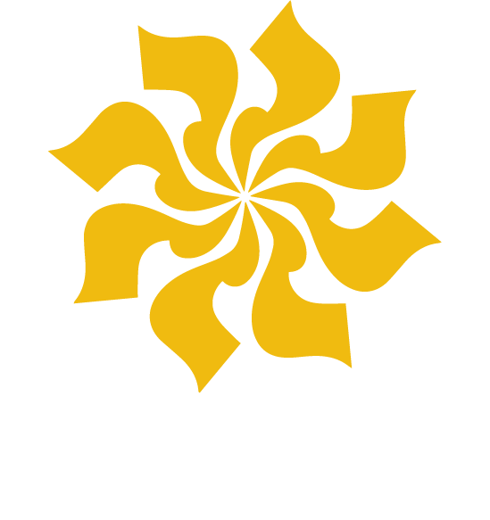 Dawud Shah Portfolio